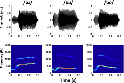 Rapid Enhancement of Subcortical Neural Responses to Sine-Wave Speech